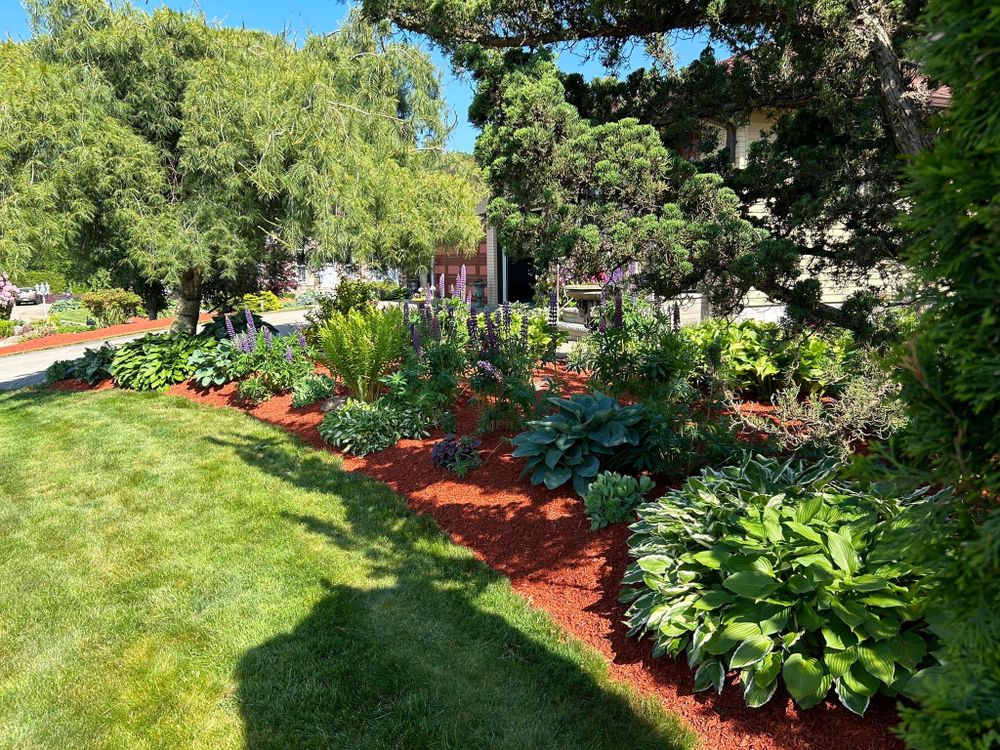 Mowing for Jose & Sons Landscaping in New Bedford, MA