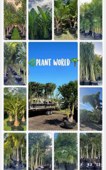 All Photos for Plant World LLC in Cape Coral, FL