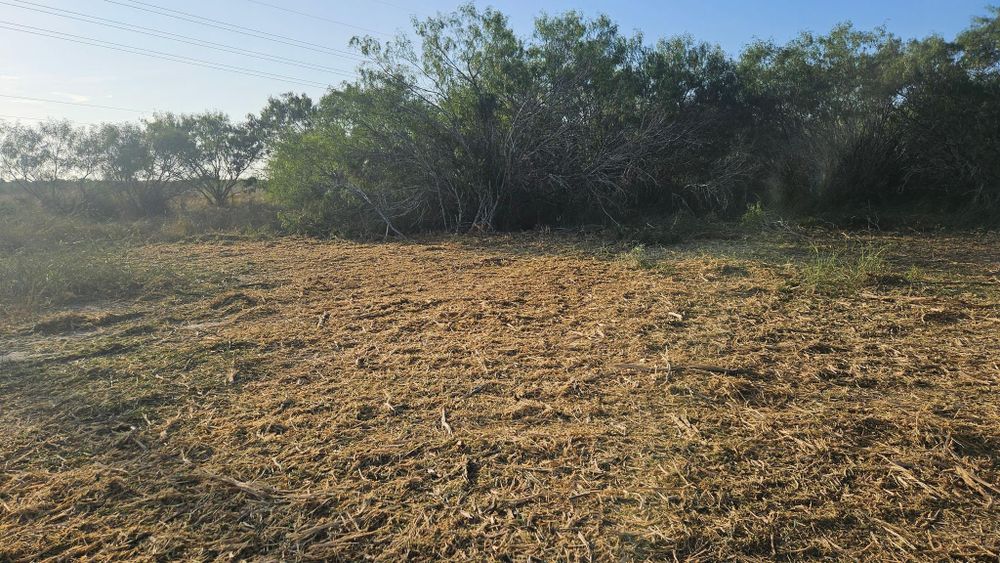 All Photos for Hernandez Land Clearing Services in Alice, TX