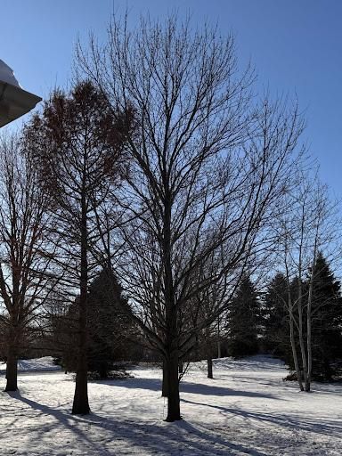 All Photos for H&L Lawn Care LLC in Twin Lakes, WI