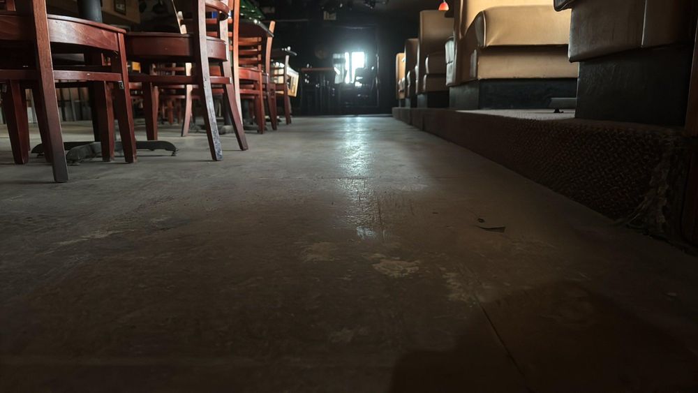 All Photos for The Guys Landscaping & Foundation Repairs LLC in Trenton, MI