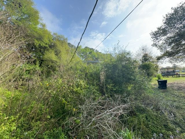 Tree Cleanup  for D&D Services of Pensacola in Pensacola, FL