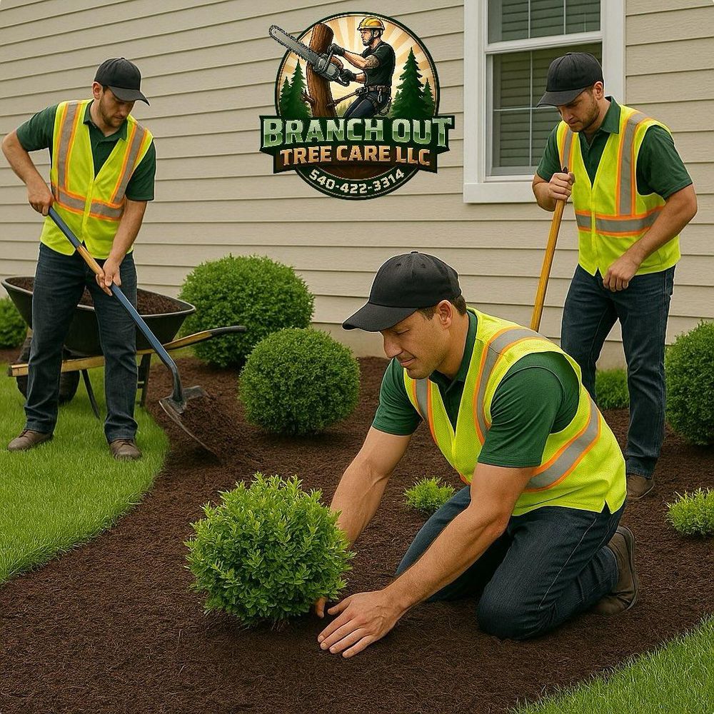 All Photos for Branch Out Tree Care LLC in Fredericksburg, VA