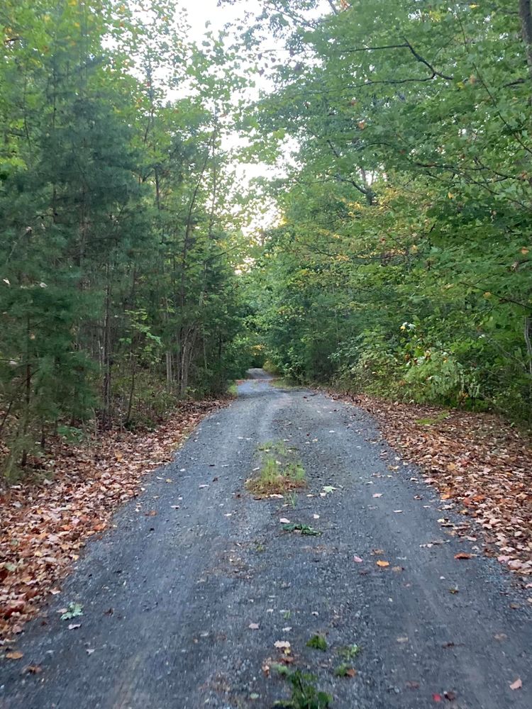 All Photos for 9999 Building and Renovation LLC in Warrenton, VA