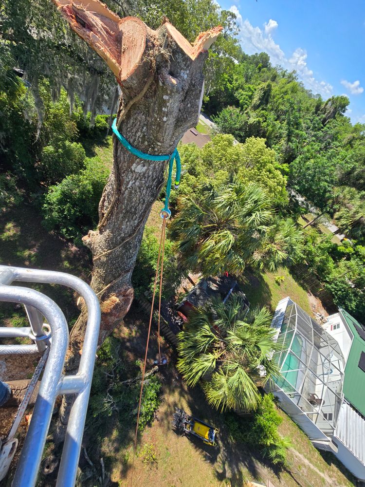 All Photos for Near Me Tree Service, Inc. in DeLand, FL