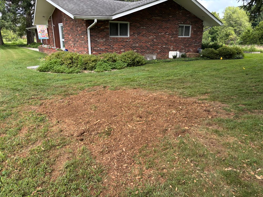 All Photos for Conrad's Stump Removal in Columbus, IN