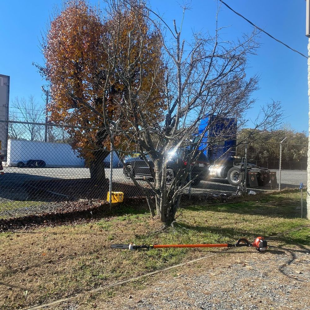 Mulching for America's Top Pick Lawn & Landscaping in Gastonia, NC