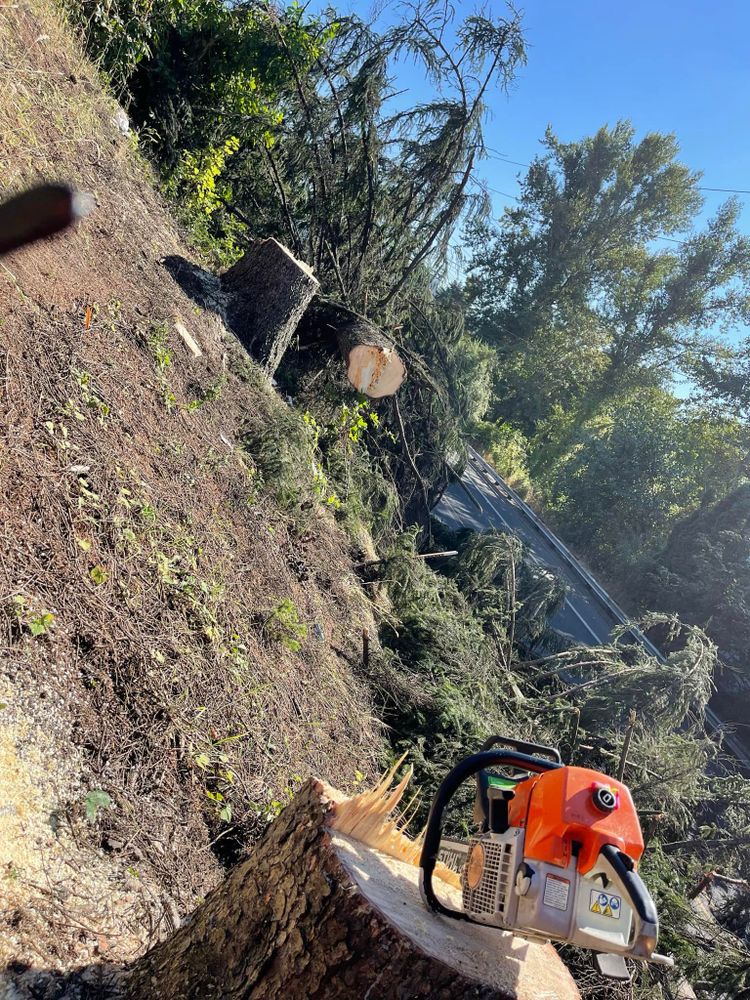 Land Clearing & Logging for DCX LLC in Gresham, OR