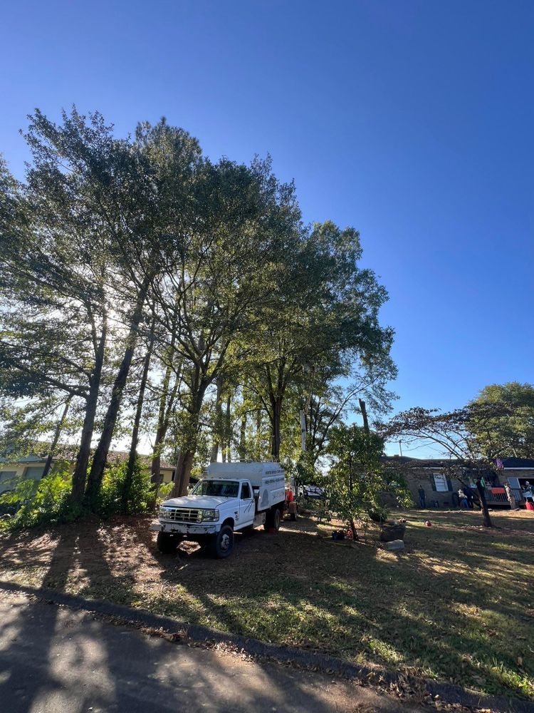 All Photos for Brooks Tree Service in Casar, NC