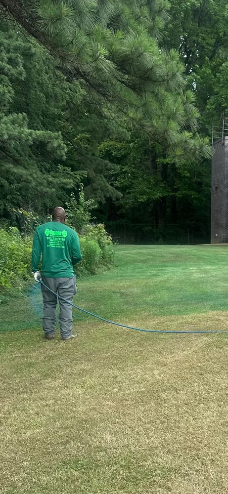 All Photos for Kingdom Landscaping in Memphis, TN