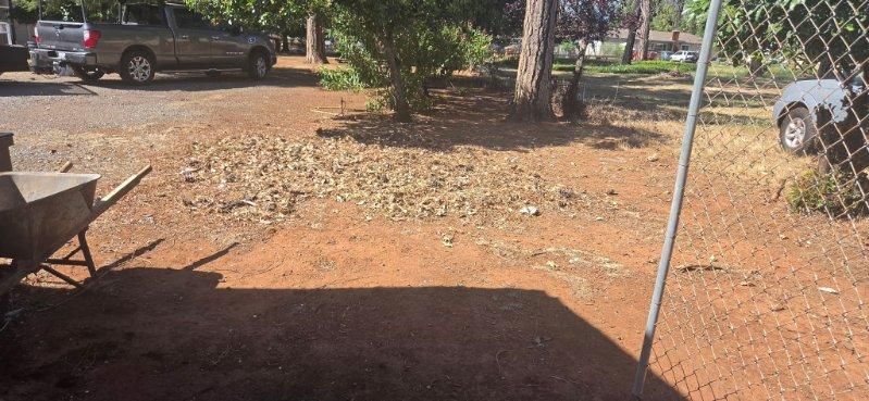 All Photos for Logan's Dump Run in Chico, CA