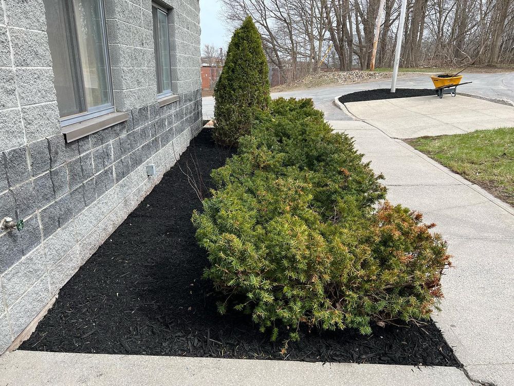 Landscaping for Roes Lawncare LLC in Lowville, NY