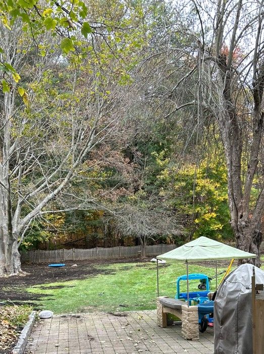All Photos for Pungitore Landscapes, Irrigation & Fertilizer in Hingham, MA