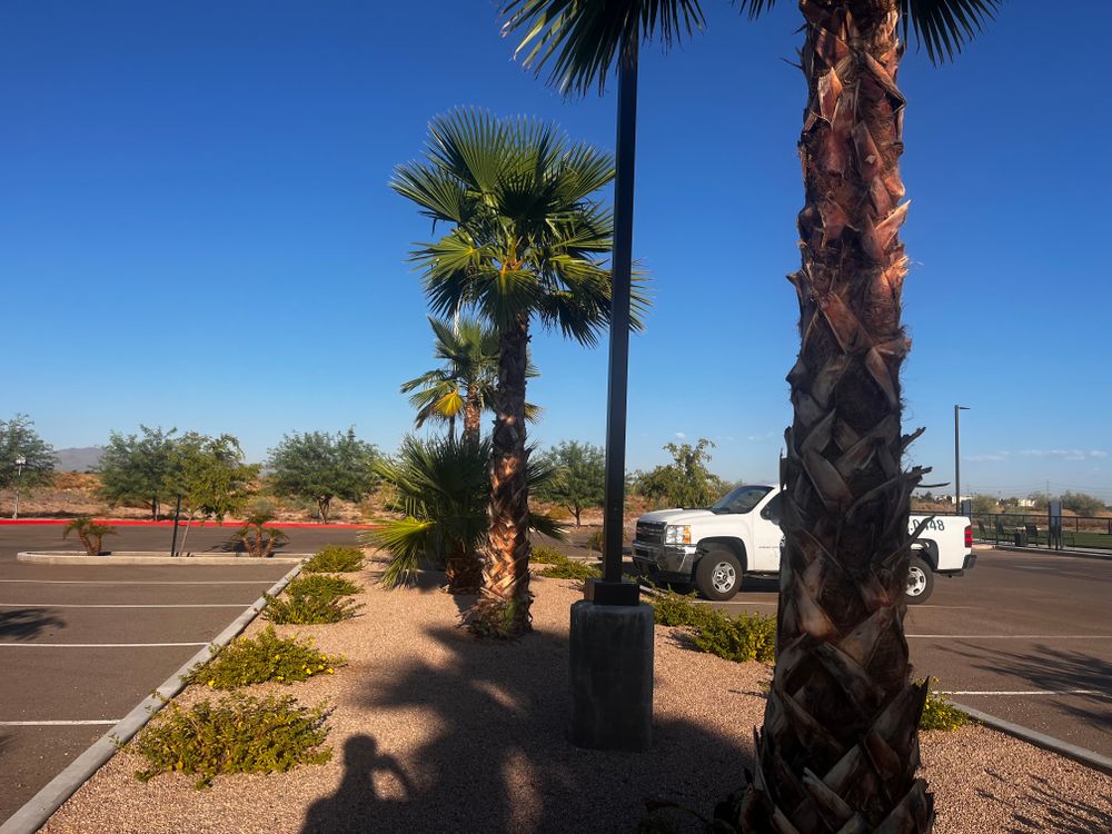Commercial Gravel Installation for AZ Tree & Hardscape Co in Surprise, AZ