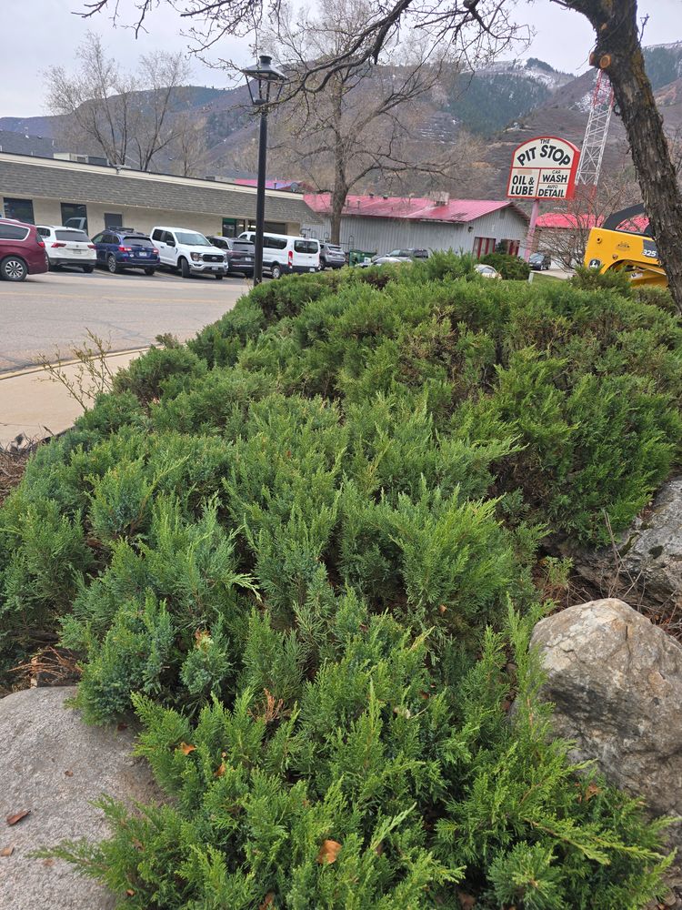 All Photos for LRS: Landscape, Rescue, Snow in Silt, CO