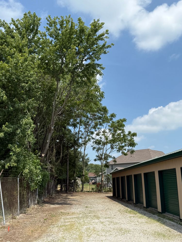 Tree Removal for Hunnicutt’s Tree Service L.L.C. in Monticello, IN