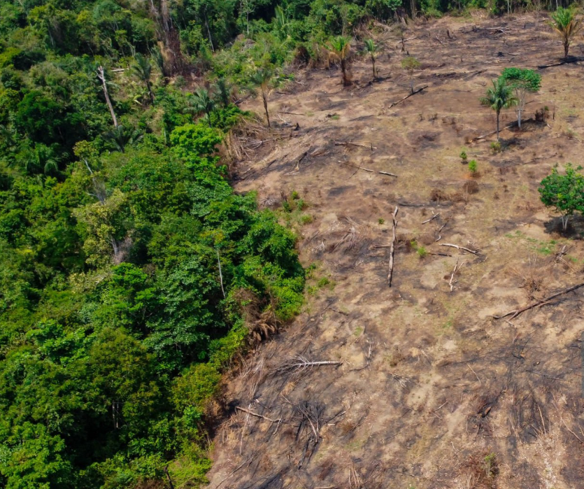 All Photos for Twin Peaks Lawn Care  in Front Royal, VA