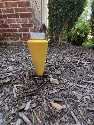 All Photos for Toppers Wildlife Removal in Garland, TX