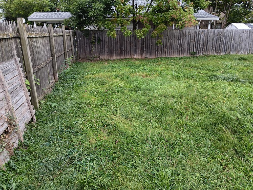 Lawn Care for Mr. Prestige Lawn Care Perfectionist in Columbus, OH