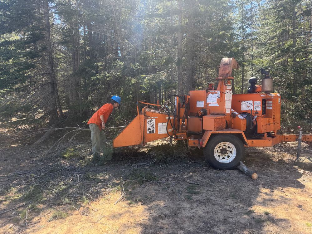 All Photos for J&Q Tree Service in Paradise, MI