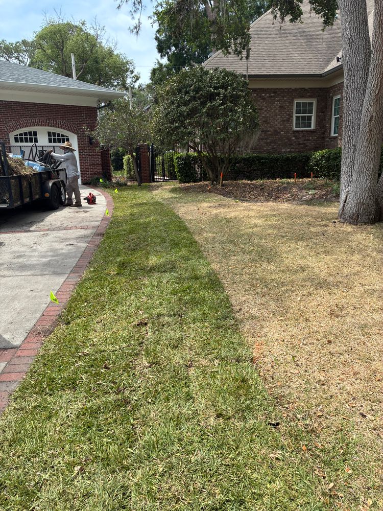 All Photos for Gulf Bay Sod in Clearwater, FL