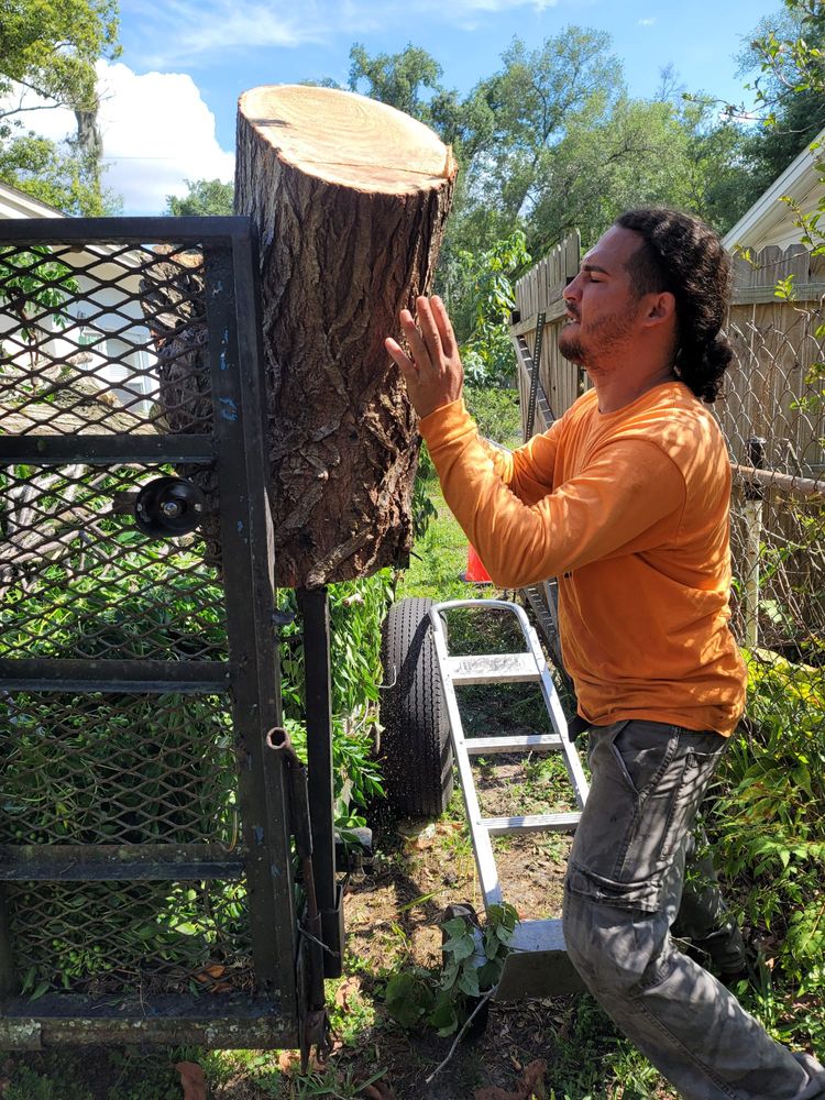 Highlife Tree Care And Landscaping team in Altamonte Springs, FL - people or person