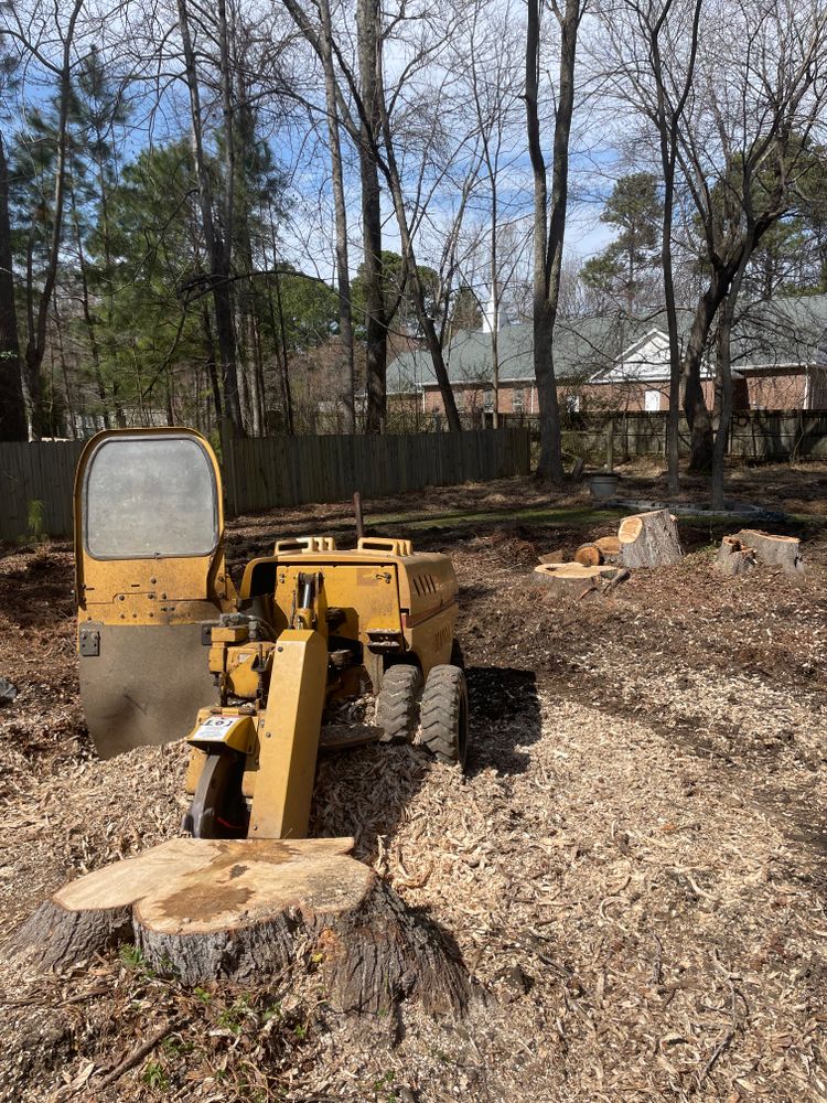 Tree Removal for Ace Tree Service  in Fuquay-Varina, NC