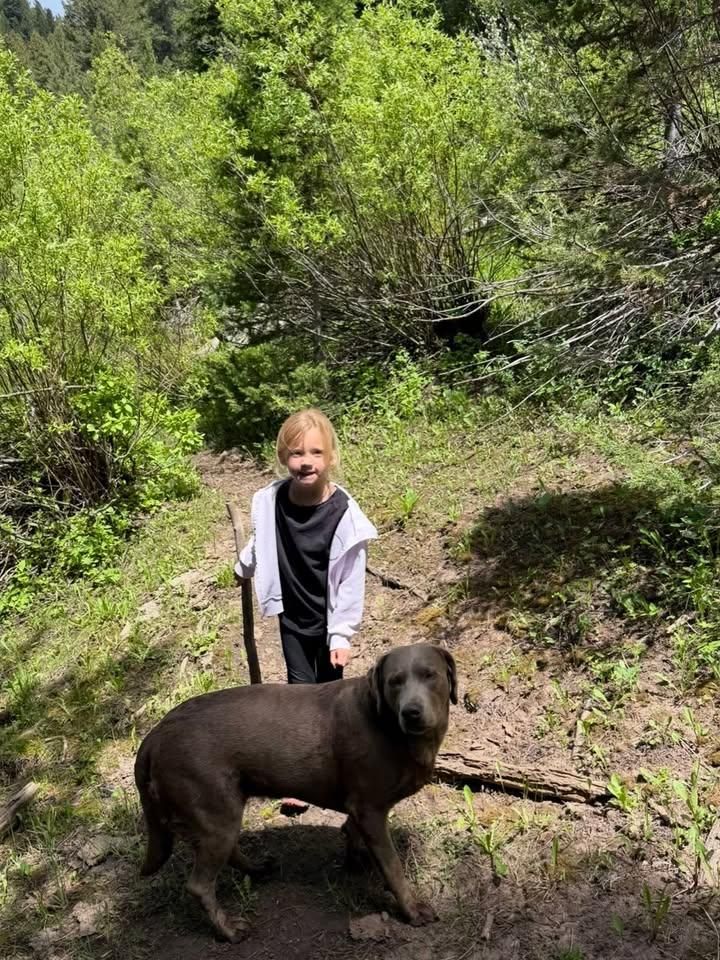 All Photos for Hard Knox Concrete  in Montpelier, ID