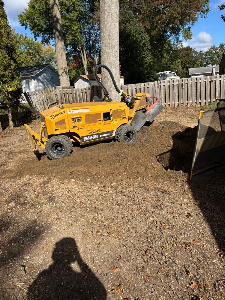 All Photos for Dean's Stump Removal in Youngstown, OH