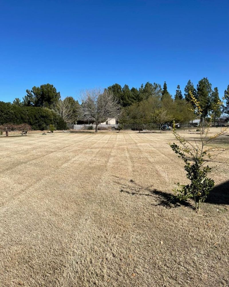 Commercial Lawn Maintenance for American Dream Landscape Company in Surprise, AZ