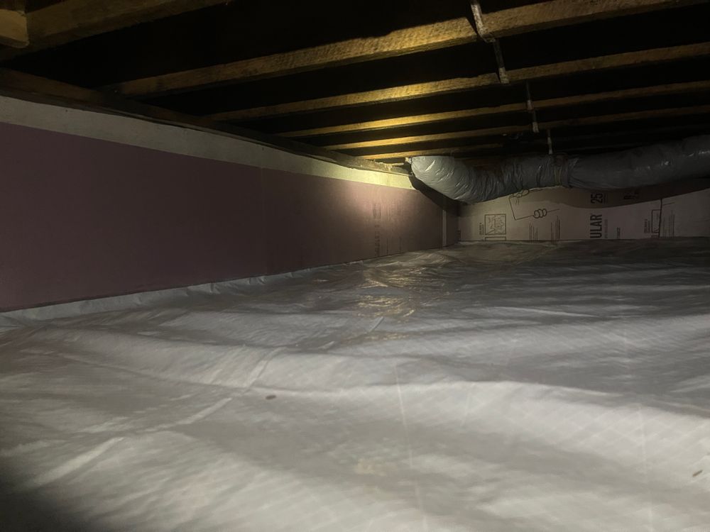 All Photos for All-In Pest Control & Home Solutions in Greene County, IN