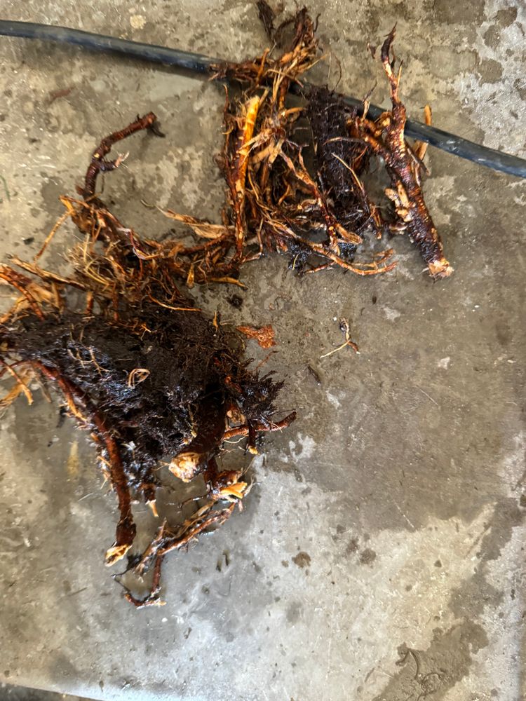 All Photos for Hendershot Construction in Maricopa, AZ