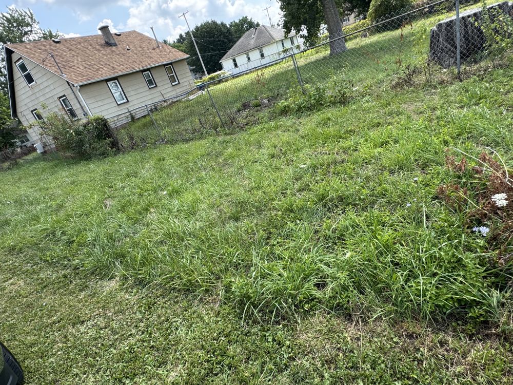 Landscaping Lawn Care for Daugherty's Tough Lawn Care in Essexville, MI