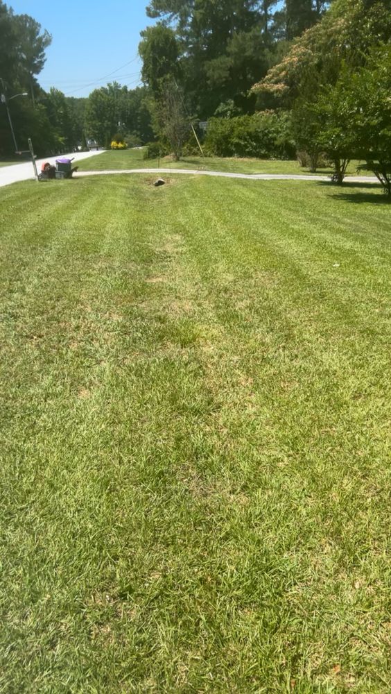 All Photos for WD Lawn Services in Loganville, GA