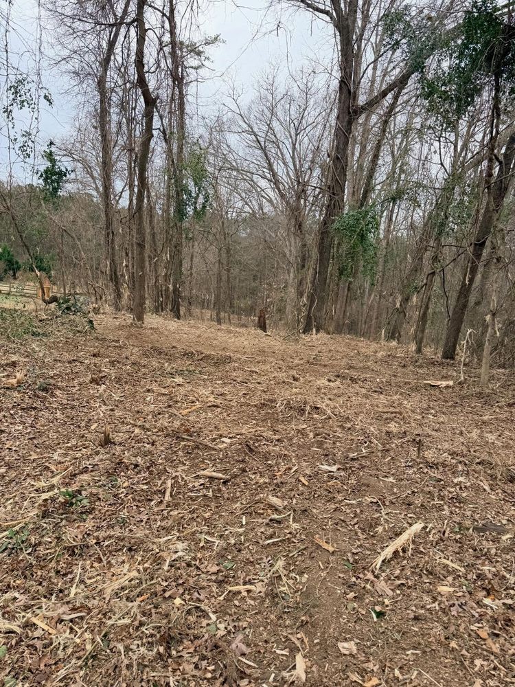 All Photos for T Crane Grading LLC in Clarkesville, GA