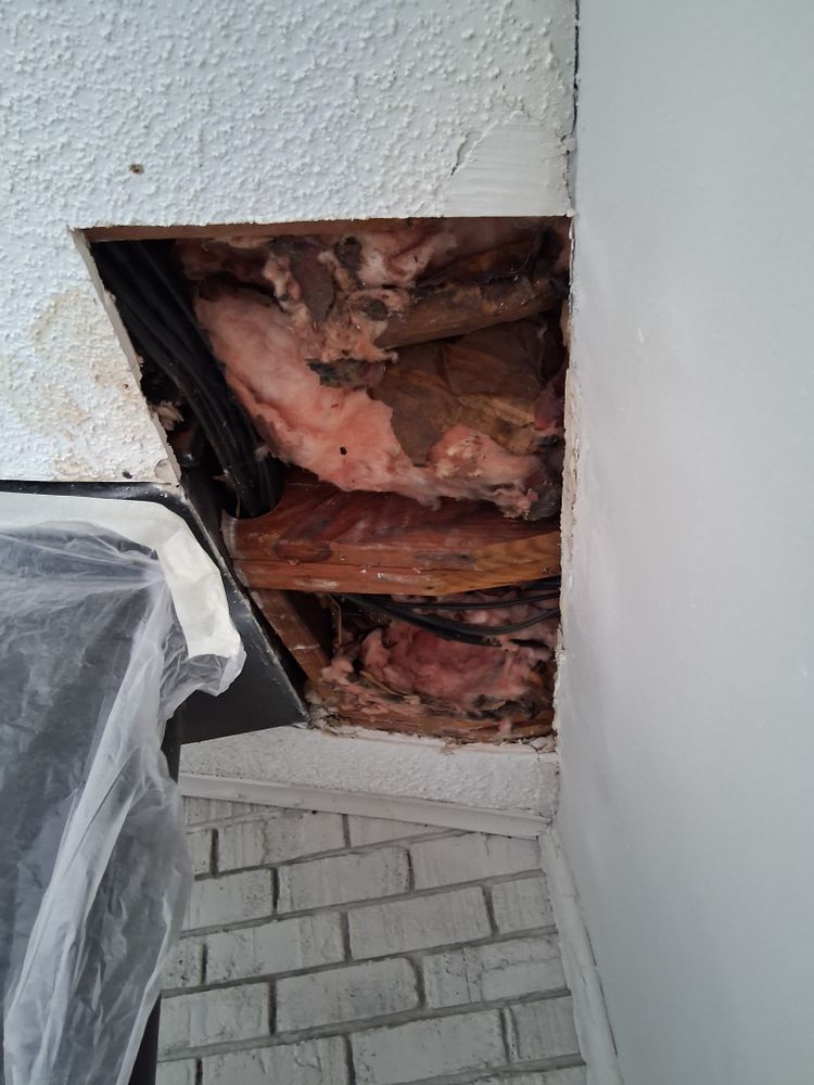 All Photos for Raw Paintings, Sheetrock Repairs and Cleaning in Columbia, SC