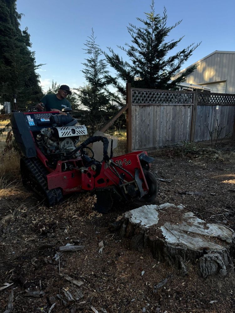 All Photos for Willamette Landscaping and Tree Services in Albany, OR