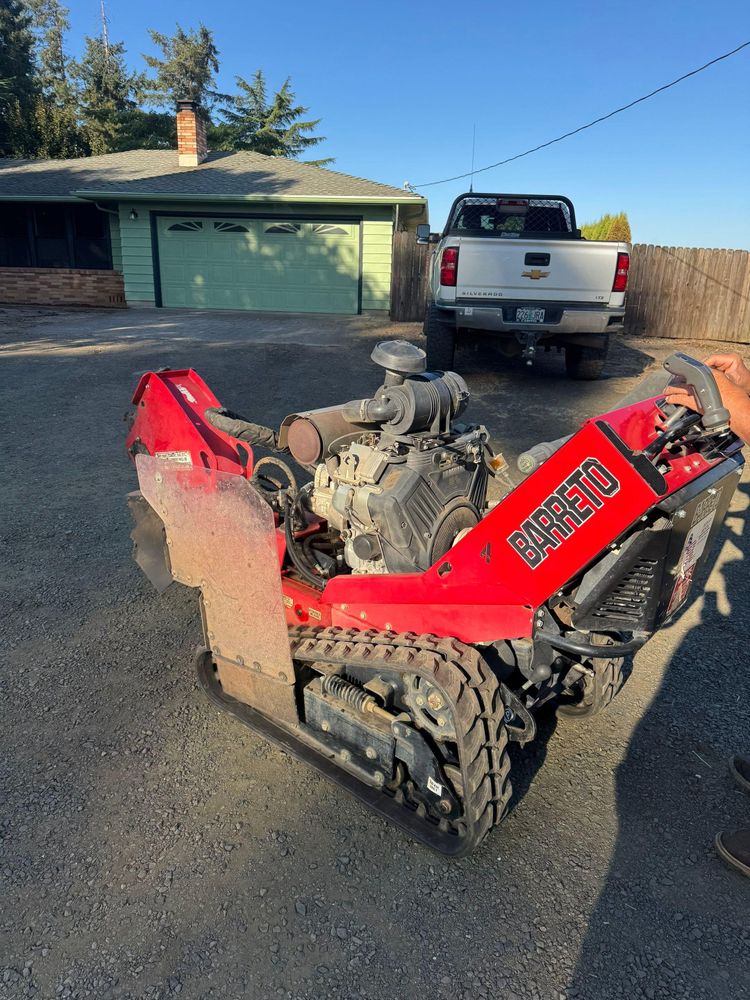 All Photos for Willamette Landscaping and Tree Services in Albany, OR