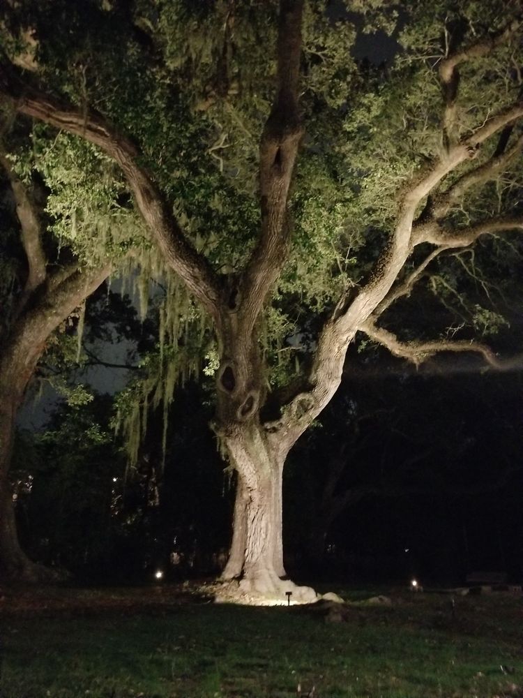 All Photos for Green Pastures Lawn Care in Bastrop, TX