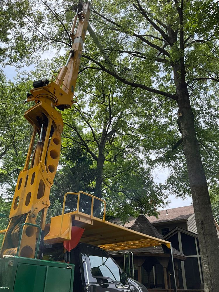 Tree Removal for Down To Earth Tree Service, LLC in Olmsted Falls, OH
