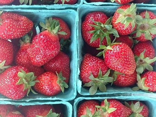 Mowing for Viking Dirtworks and Landscaping in Gallatin, MO