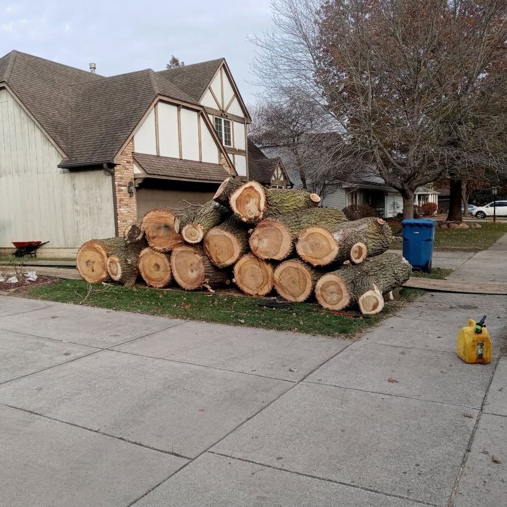 Tree Removal for Highborn Tree Service in Wheatfield, IN