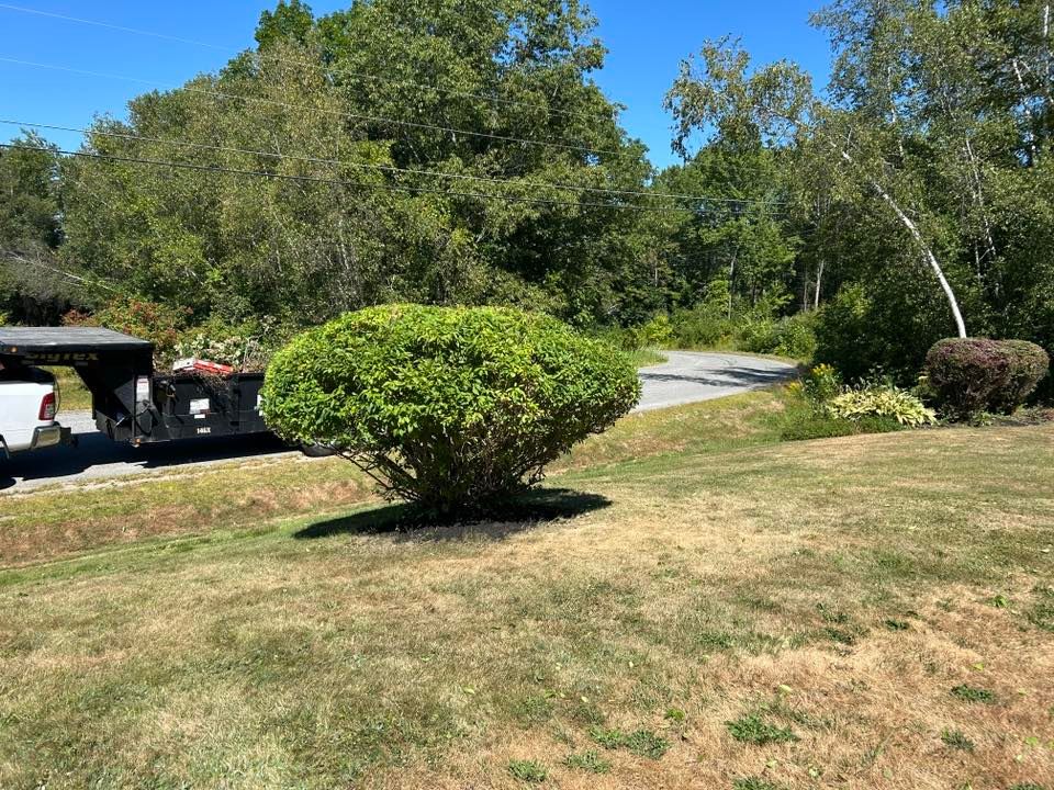 Enhance your home's curb appeal with our professional shrub trimming service, ensuring neatly shaped and healthy shrubs that complement your landscape while promoting optimal growth and maintaining a tidy appearance. for CM & Sons Landscaping LLC in Benton, ME