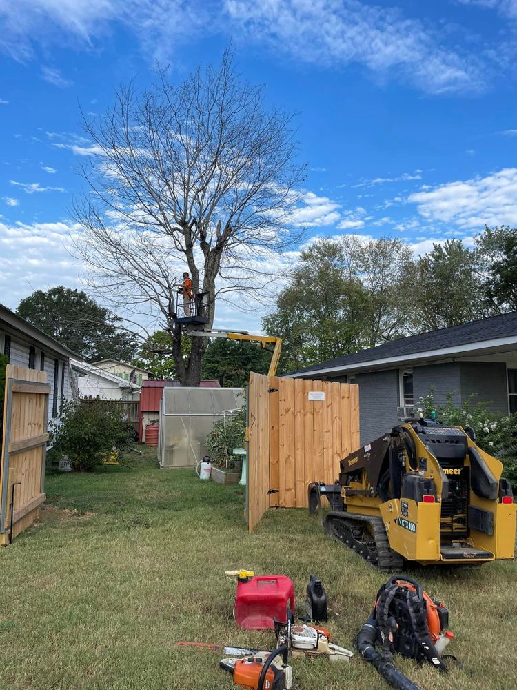 Tree Removal for Ross Family Tree Service LLC  in Hohenwald, TN