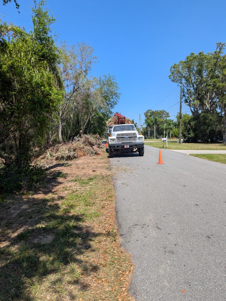 All Photos for Regal Tree Service and Stump Grinding in Wauchula, FL
