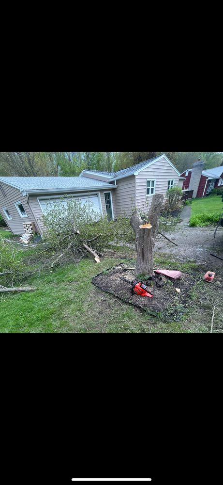 Our Tree Work service ensures the health and safety of your trees, providing expert pruning, removal, and maintenance to enhance your landscape's beauty and preserve the vitality of your outdoor space. for Harpers Landscaping in Fredonia, NY