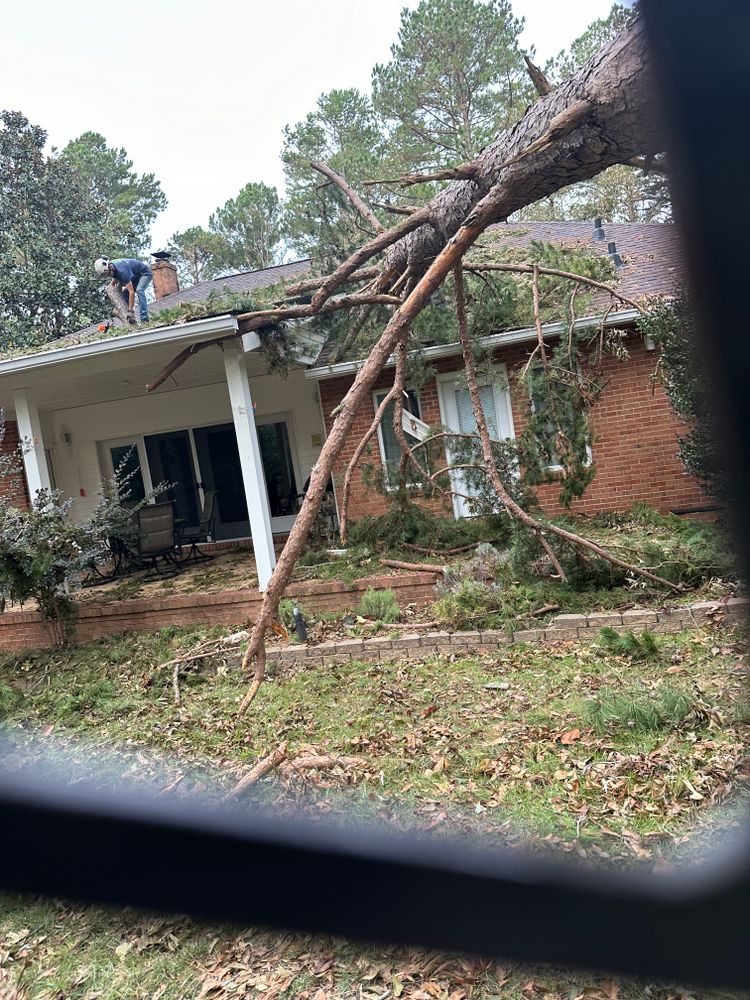 Our expert team quickly addresses storm damage today, providing safe and efficient tree removal and cleanup to restore your property's beauty and safety after any severe weather event. for ArborMax in Thomaston, GA