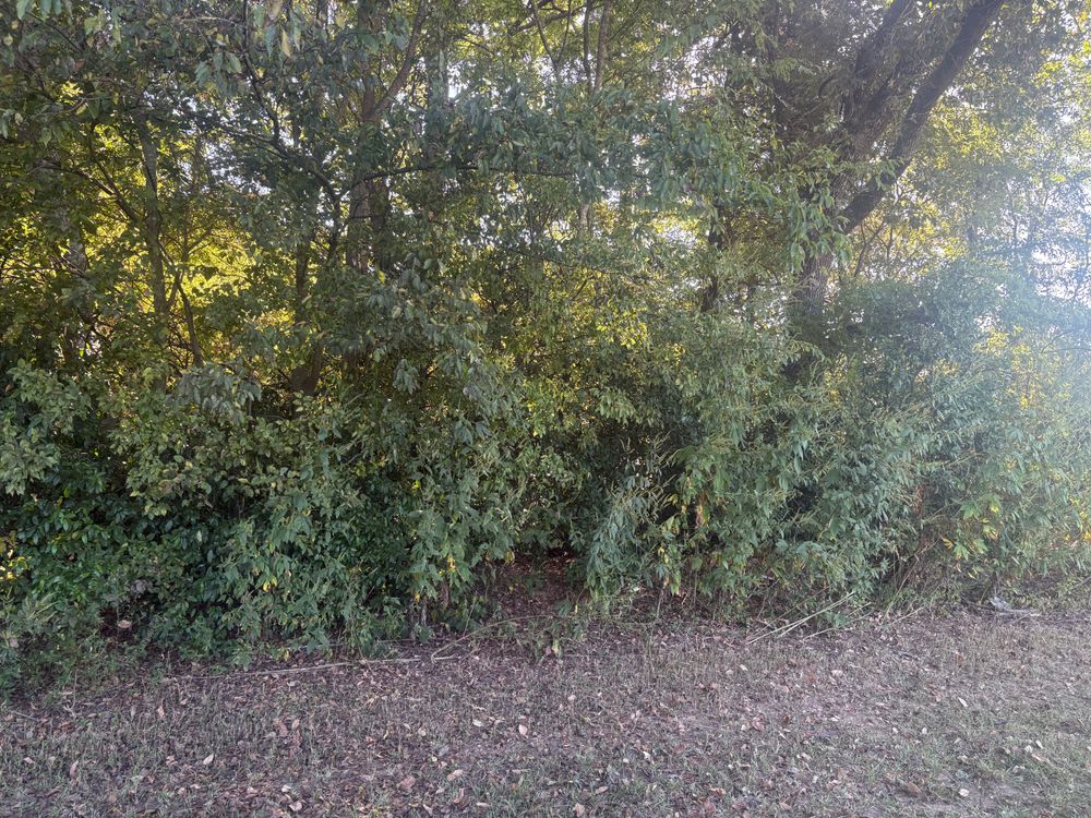 All Photos for Circle W Services in Canton, TX