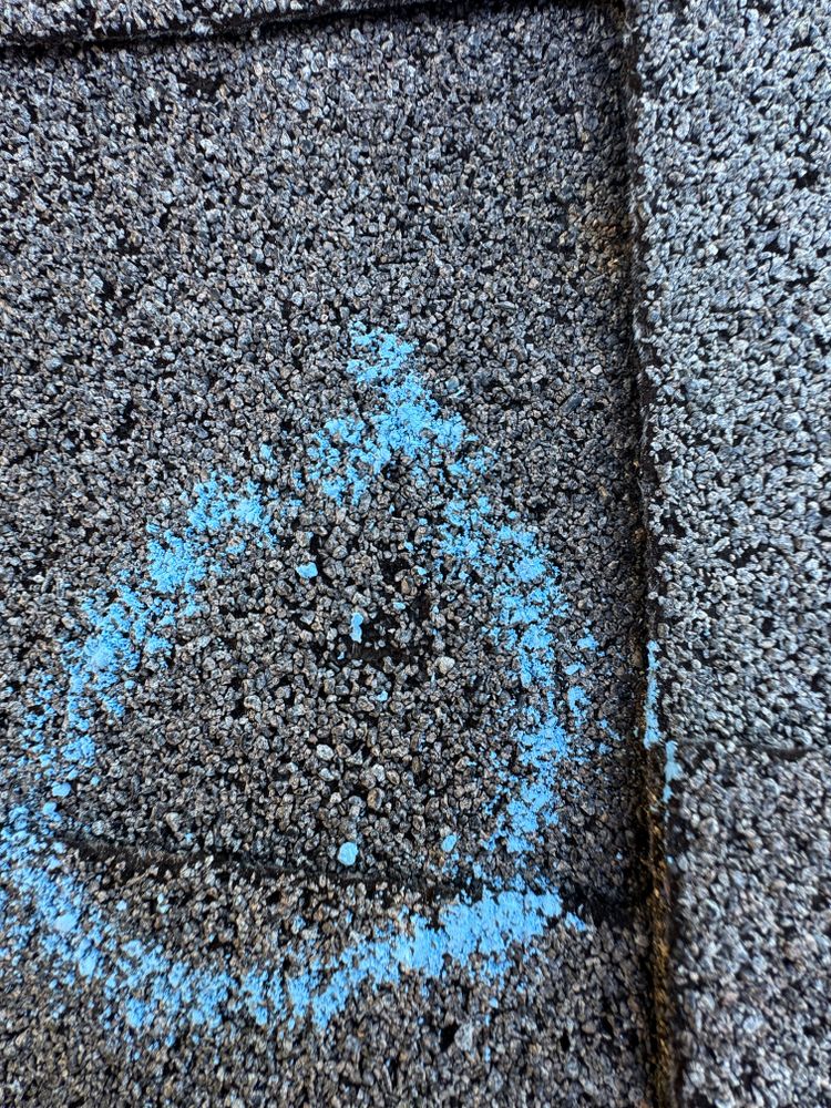 All Photos for FNS Exterior Consulting LLC, Powered By Live OAK in Cumming, GA