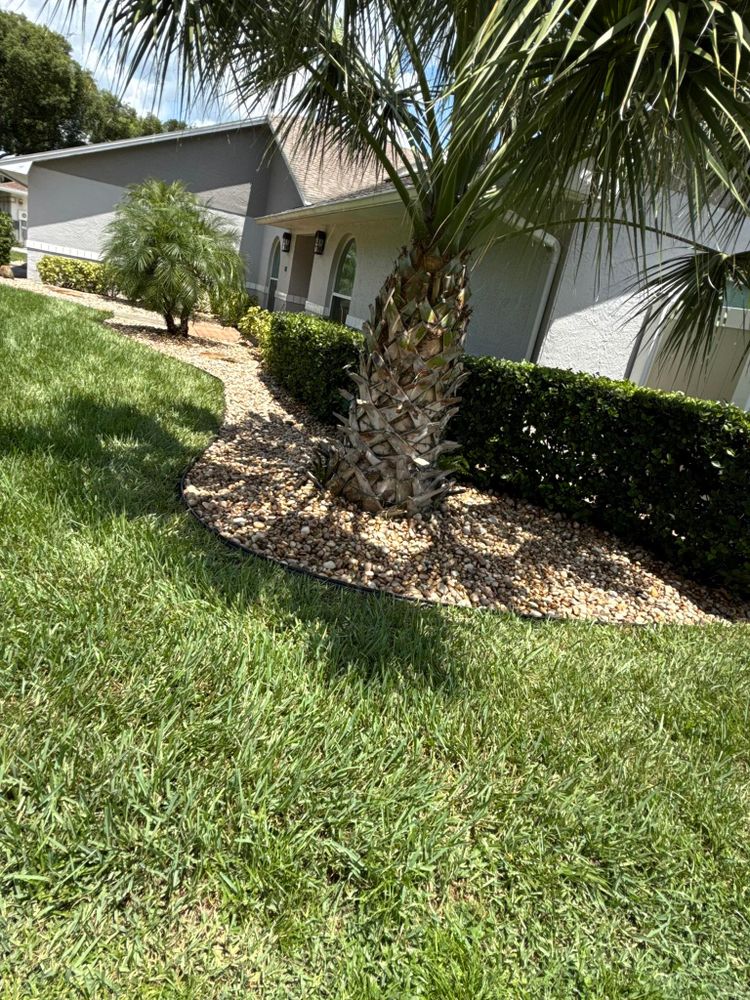 All Photos for Greens Landscaping in Clearwater, FL